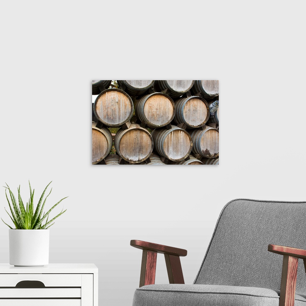 A modern room featuring Sonoma Valley California Kunde Winery barrels of wine winery vineyards abstract Napa Valley Kenwo...