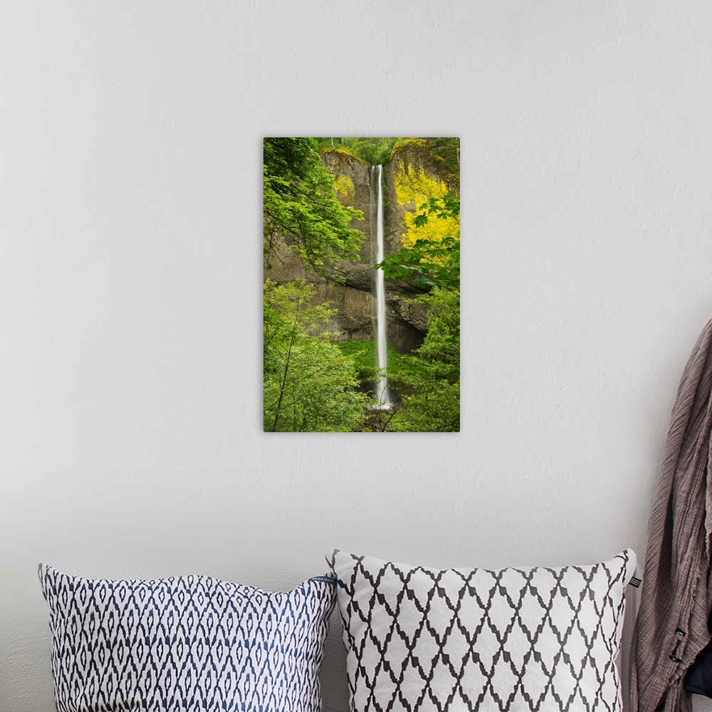 A bohemian room featuring Latourell Falls, Columbia Gorge, Oregon, USA