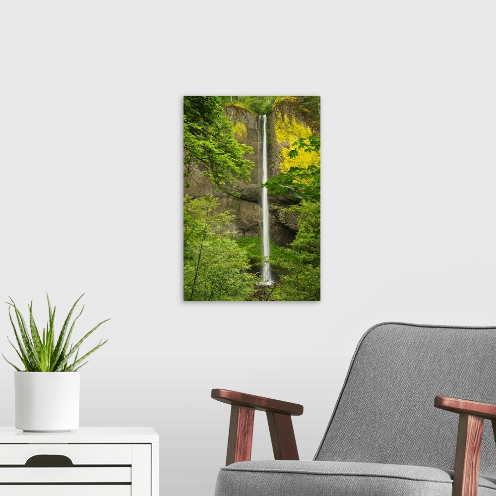 A modern room featuring Latourell Falls, Columbia Gorge, Oregon, USA