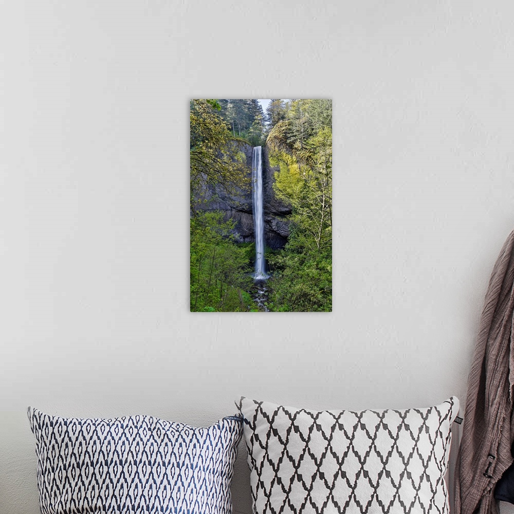 A bohemian room featuring Latourell Falls Columbia River Gorge National Senic Area, Oregon