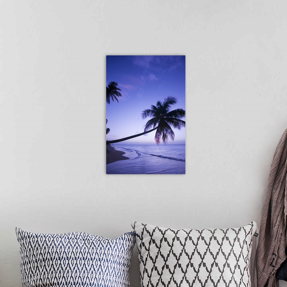 A bohemian room featuring Lone palm tree at sunset, Coconut Grove beach at Cade's Bay.