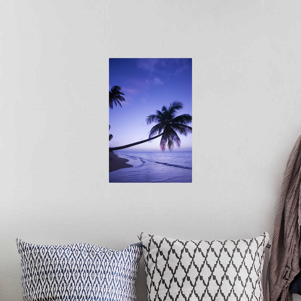 A bohemian room featuring Lone palm tree at sunset, Coconut Grove beach at Cade's Bay.