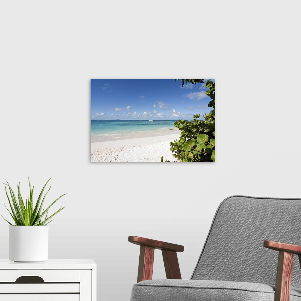 A modern room featuring Long Bay Beach, Antigua, West Indies, Caribbean, Central America