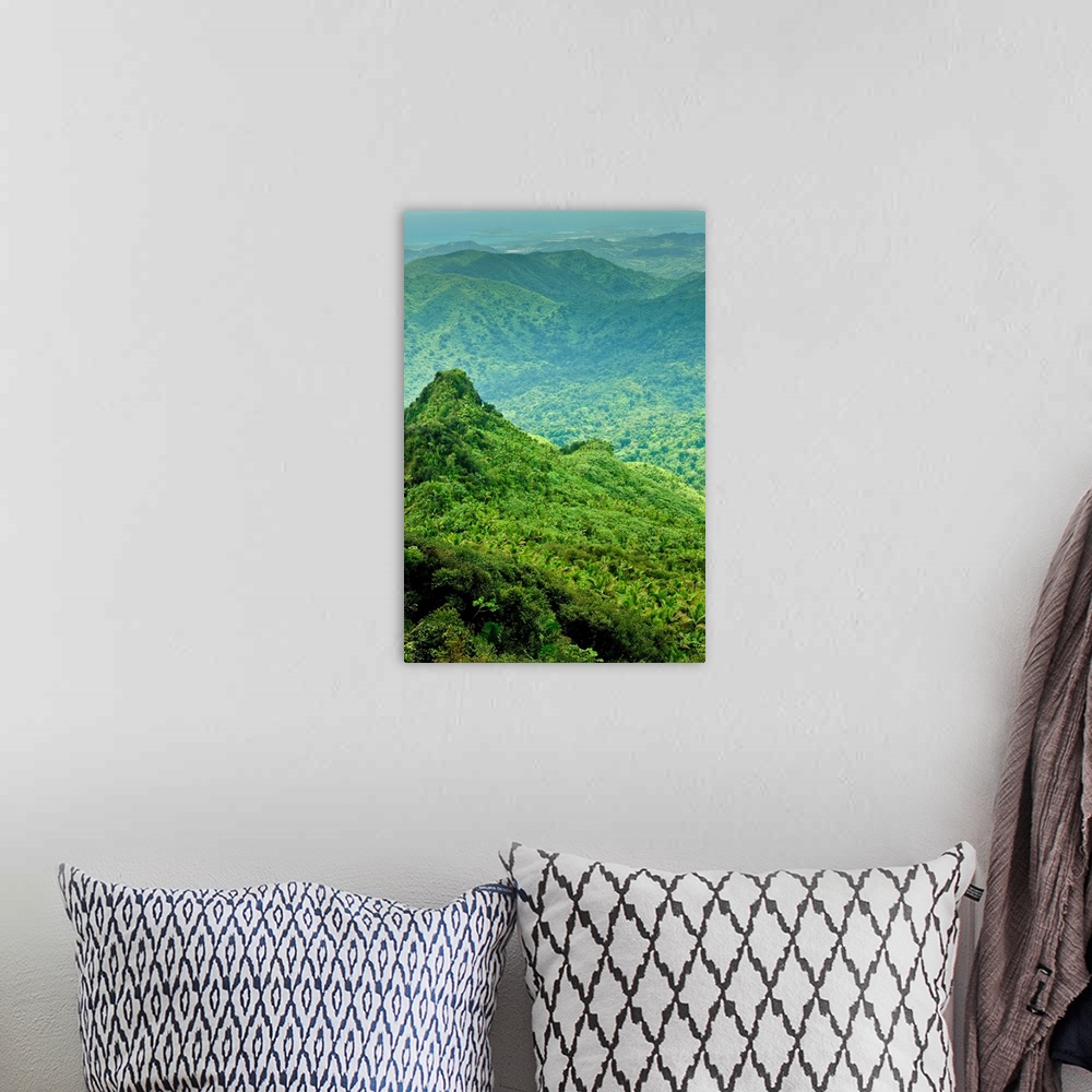 A bohemian room featuring Viewing Los Picachos peak from the El Yunque peak overlook, El Yunque NF, Puerto Rico