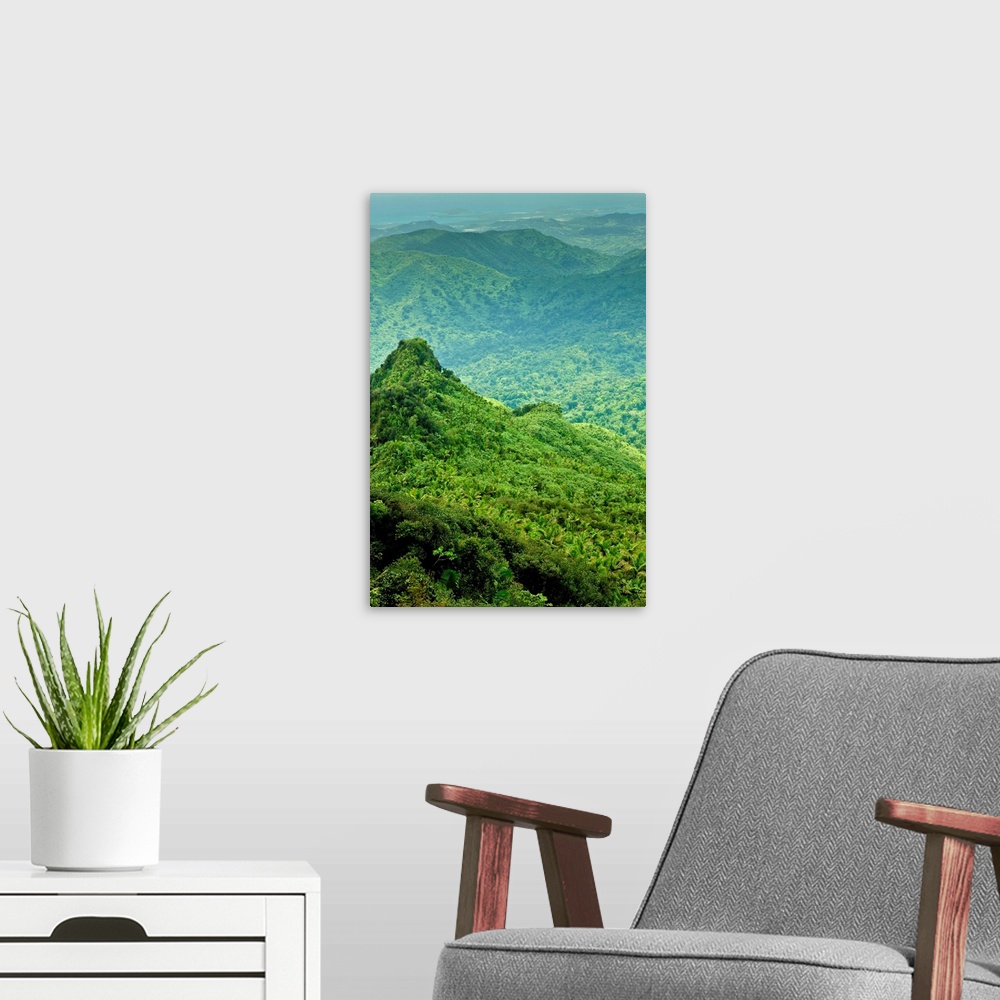 A modern room featuring Viewing Los Picachos peak from the El Yunque peak overlook, El Yunque NF, Puerto Rico