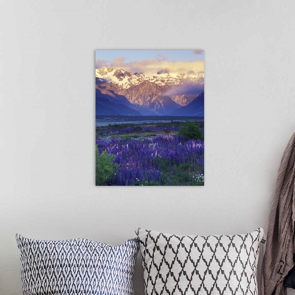 A bohemian room featuring New Zealand, South Island, Arthur's Pass National Park, Lupine and the Main Divide