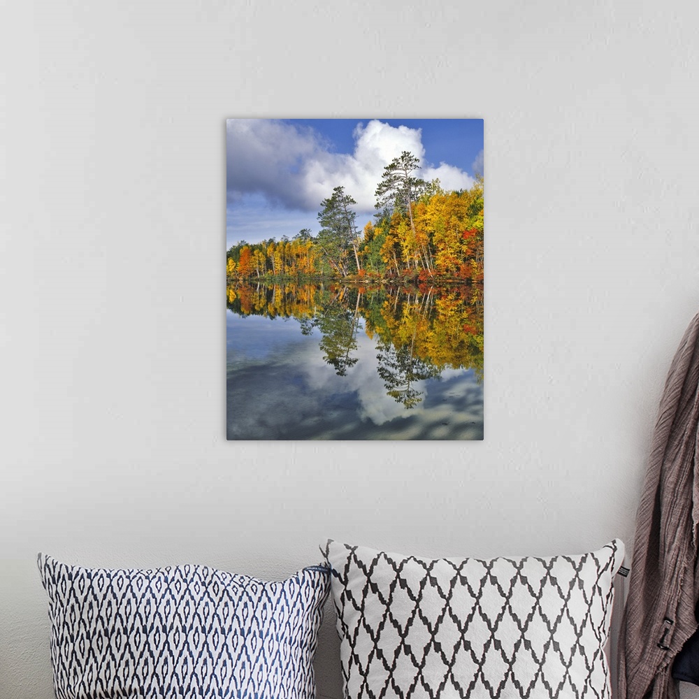 A bohemian room featuring USA, Maine. Autumn scenic of Upper Togue Pond.