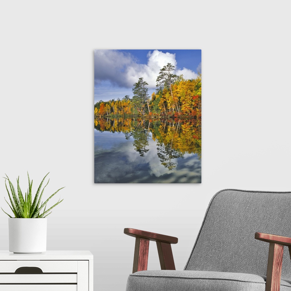 A modern room featuring USA, Maine. Autumn scenic of Upper Togue Pond.