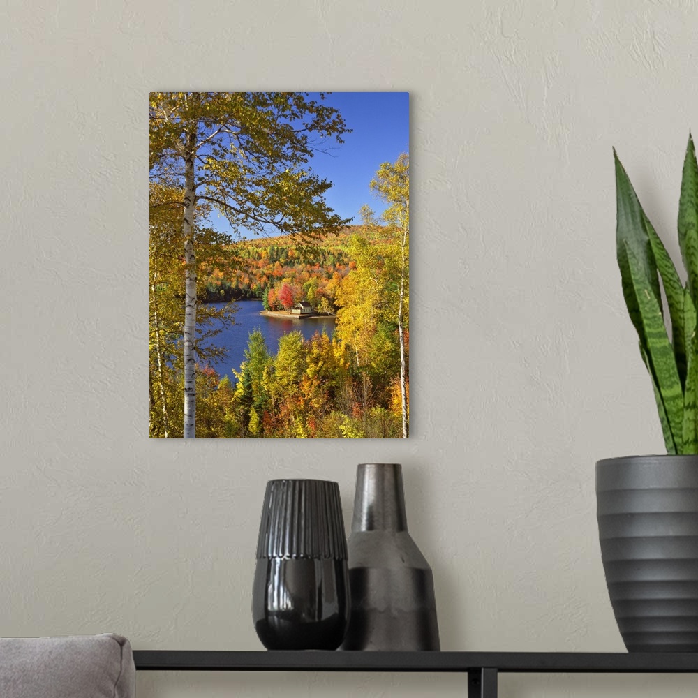 A modern room featuring USA, Maine, Bingham. Wyman Lake and autumn colors.