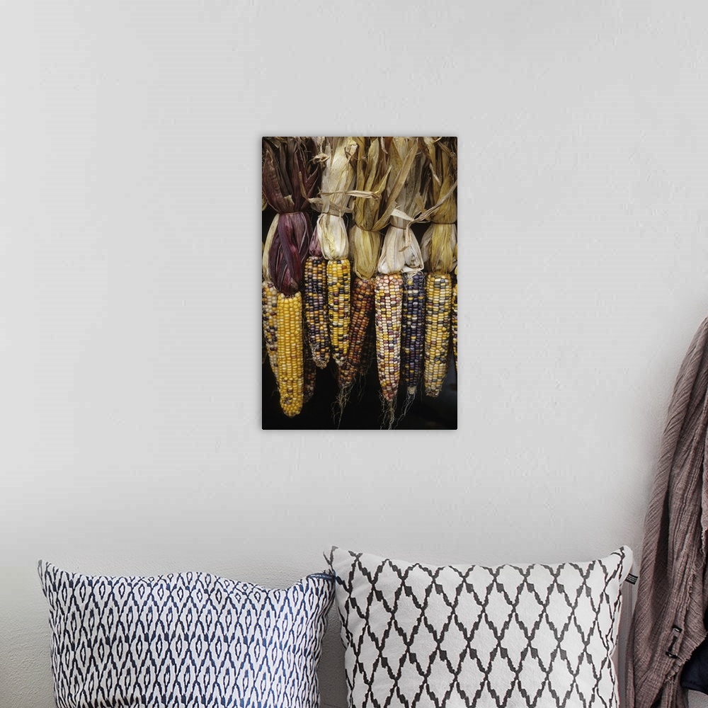 A bohemian room featuring North America, USA, Massachusetts, Acton. Indian corn on display
