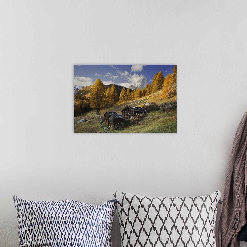 A bohemian room featuring Matterhorn framed by autumn Larch trees, (Larix decidua) Zermatt, Switzerland