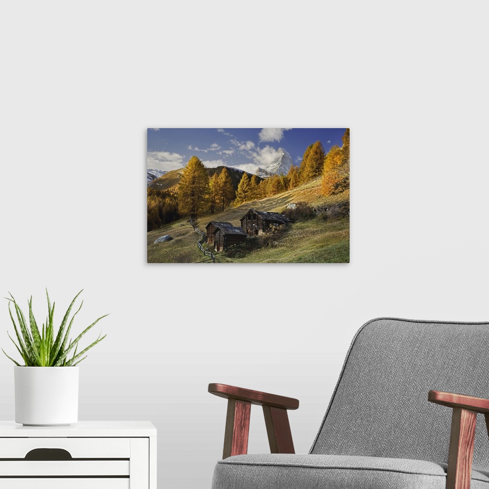 A modern room featuring Matterhorn framed by autumn Larch trees, (Larix decidua) Zermatt, Switzerland