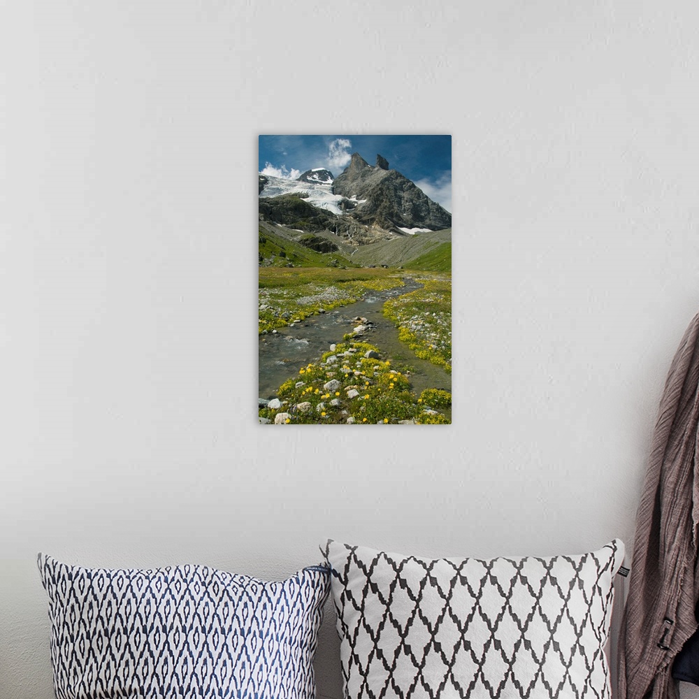 A bohemian room featuring Alpine meadow below Tschingelhorn, 3562 meters, upper Lauterbrunnen Valley, Bernese Alps, Switzer...