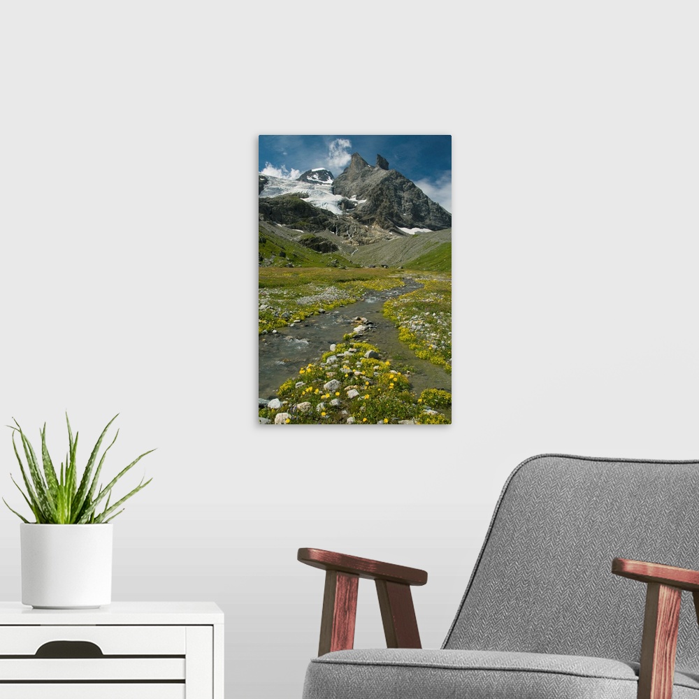 A modern room featuring Alpine meadow below Tschingelhorn, 3562 meters, upper Lauterbrunnen Valley, Bernese Alps, Switzer...