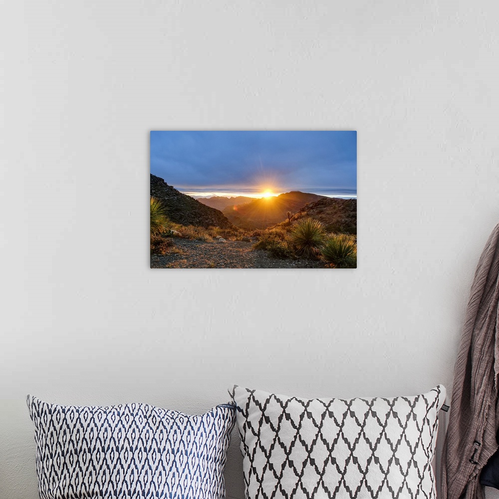A bohemian room featuring Mexico, Baja California Sur, Sierra de San Francisco. Desert sunrise from a mountain pass.