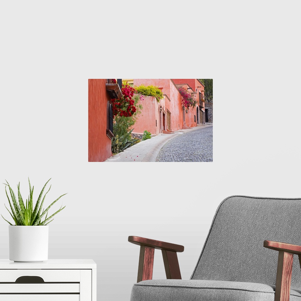 A modern room featuring North America, Mexico, Guanajuato state, San Miguel de Allende. A colorful neighborhood on the ed...
