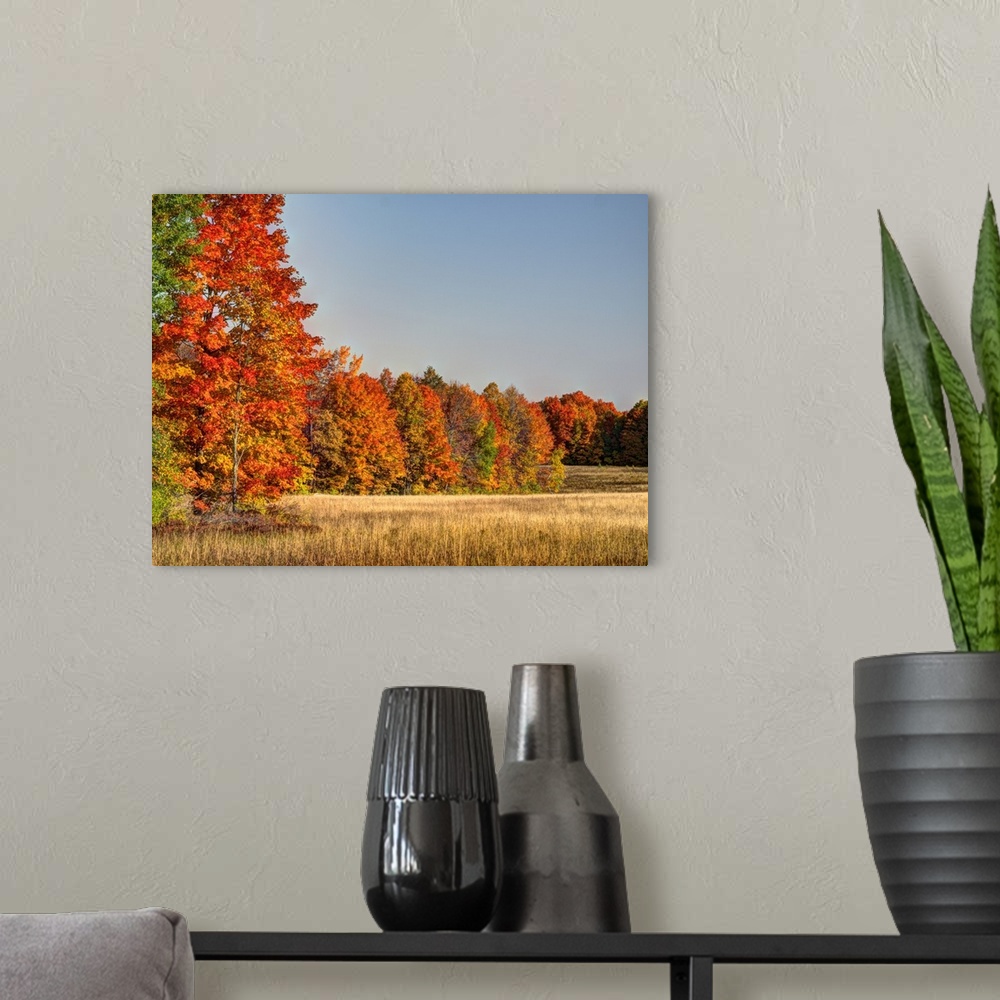 A modern room featuring North America, US, Michigan, Upper Peninsula. Fall colors in Hiawatha National Forest.
