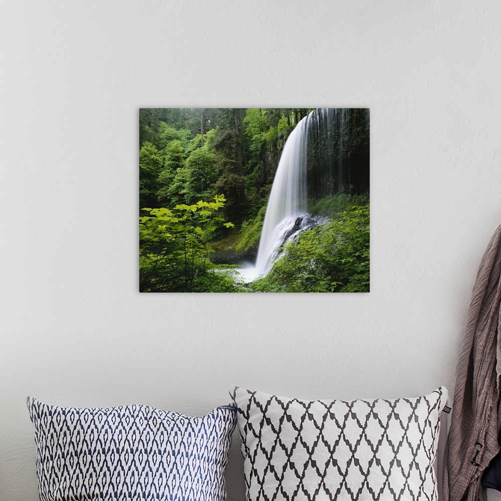 A bohemian room featuring Middle North falls, Silver Falls State Park, Oregon