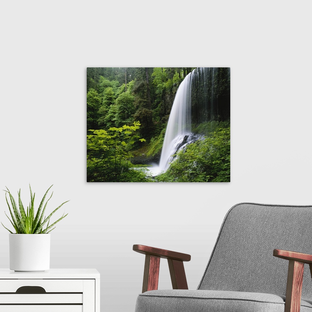 A modern room featuring Middle North falls, Silver Falls State Park, Oregon