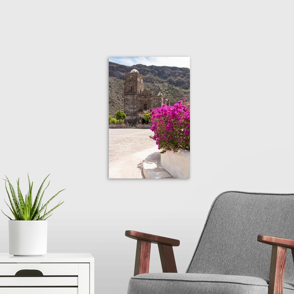 A modern room featuring Mexico, Baja California Sur, Sea of Cortez. Mission San Francisco Javier with bougainvillea blooms.