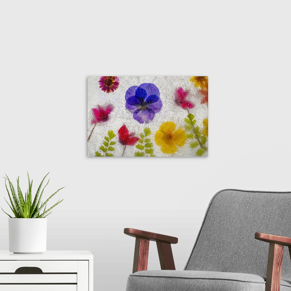 A modern room featuring Mixed flowers in ice. Nature, Flora.