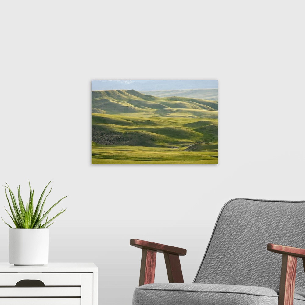 A modern room featuring USA, Montana, Rocky Mountain Front. Green hills east of Great Falls.