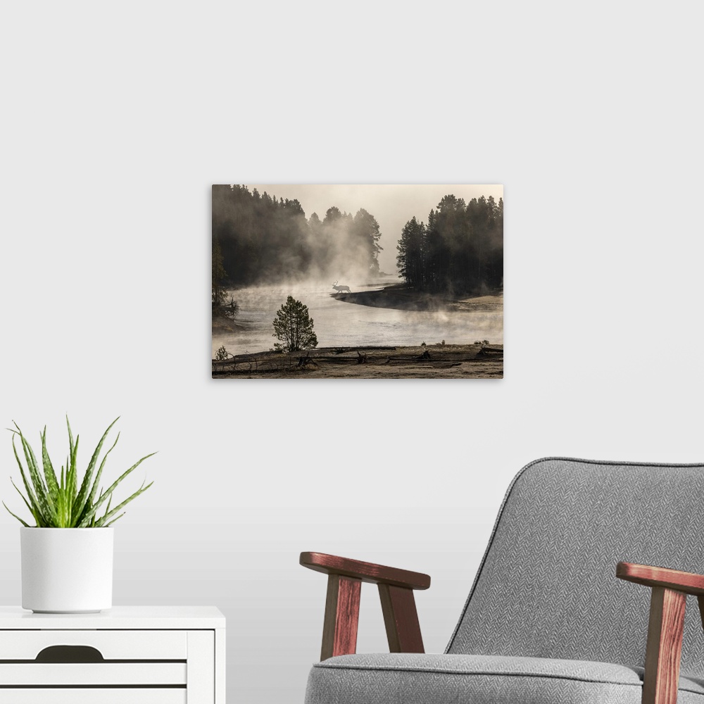 A modern room featuring Morning mist on Yellowstone River, Yellowstone National Park, Wyoming. United States, Wyoming.