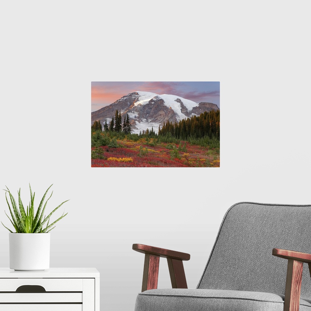 A modern room featuring Washington, Mount Rainier National Park, sunset highlights on mountain  and fall-colored meadow i...
