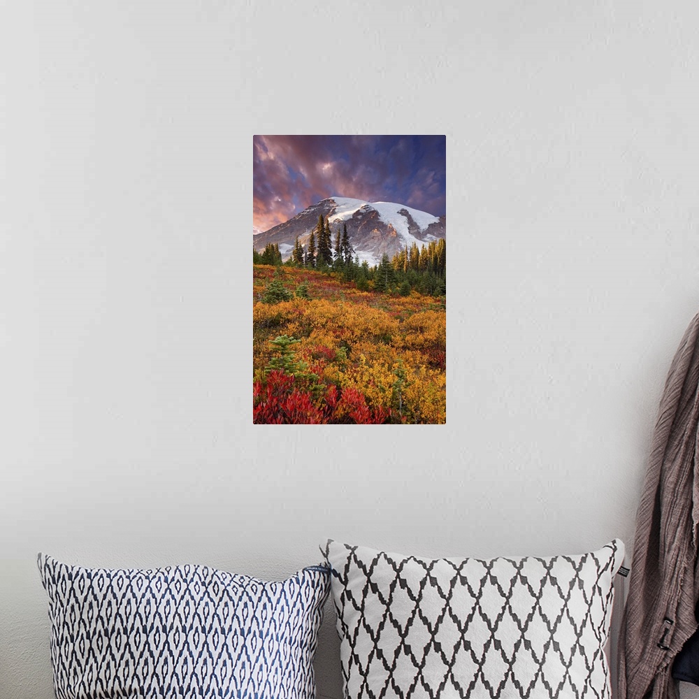 A bohemian room featuring Washington, Mount Rainier National Park, sunset highlights on mountain  and fall-colored meadow i...