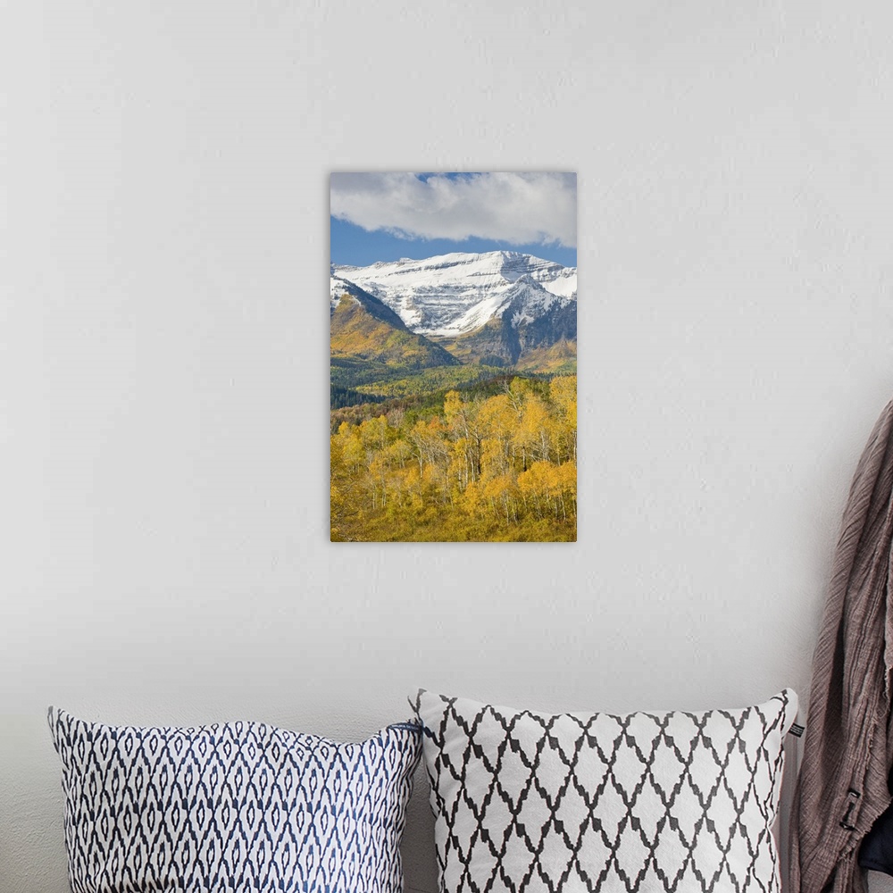 A bohemian room featuring Mount Timpanogas snow-capped, Aspen Trees in Fall Foliage, Wasatch Mountains, near Provo, Utah.
