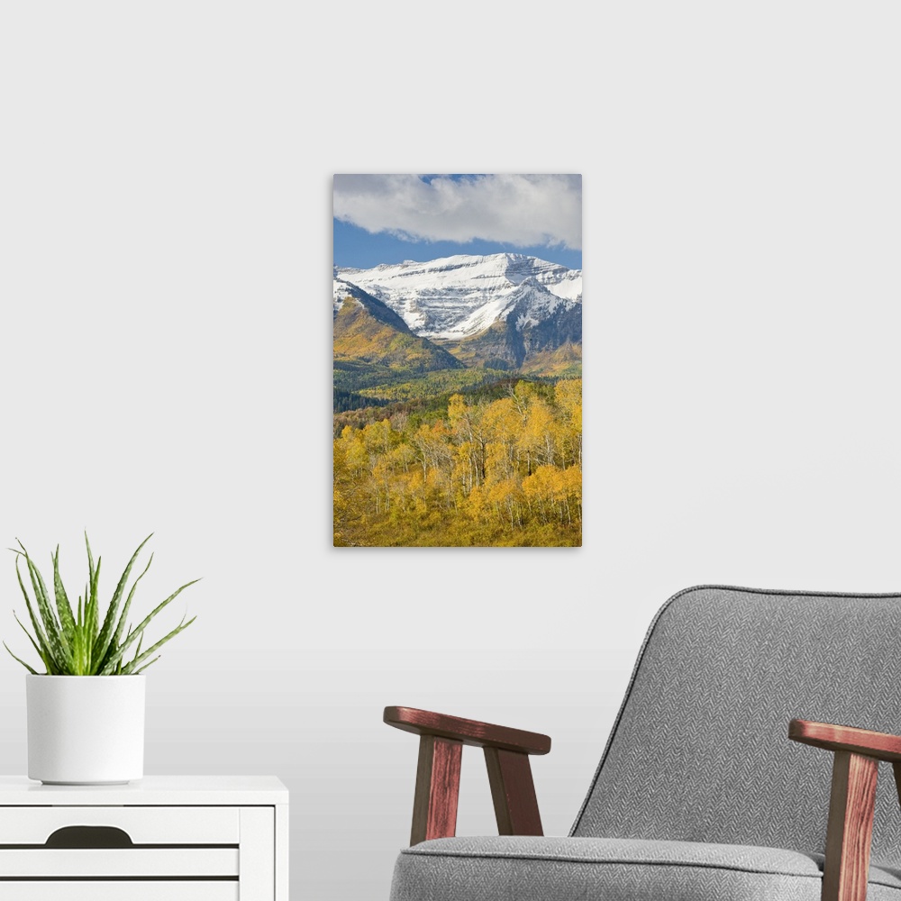A modern room featuring Mount Timpanogas snow-capped, Aspen Trees in Fall Foliage, Wasatch Mountains, near Provo, Utah.