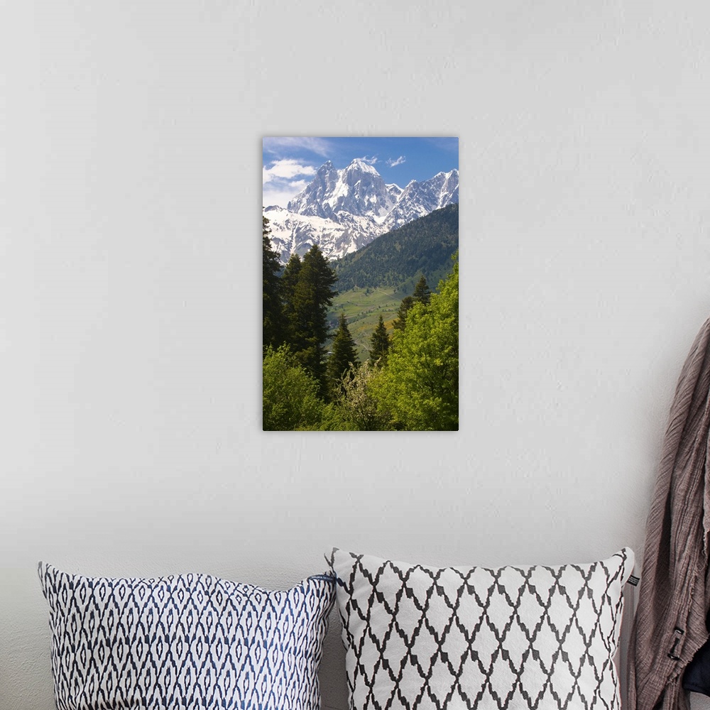 A bohemian room featuring Mountain scenery of Svanetia with Mount Ushba in the background, Georgia.