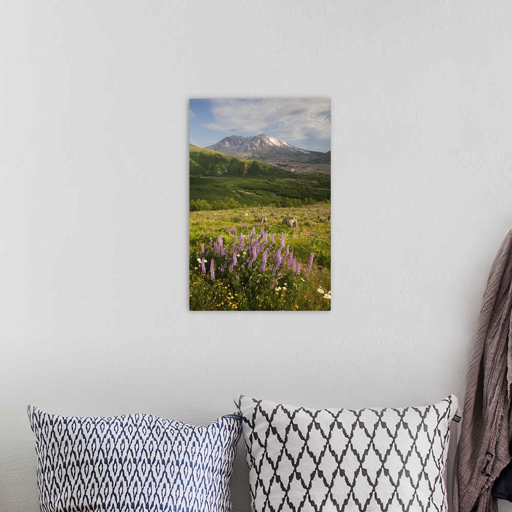 A bohemian room featuring Washington, Mt. St. Helens National Volcanic Monument, Mt. St. Helens with lupine and wildflowers...