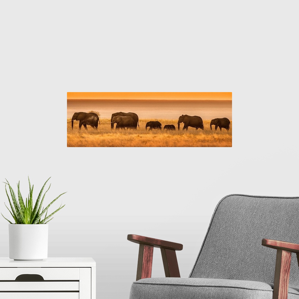 A modern room featuring Etosha National Park, Namibia, Africa. Elephants walk in a line at sunset.