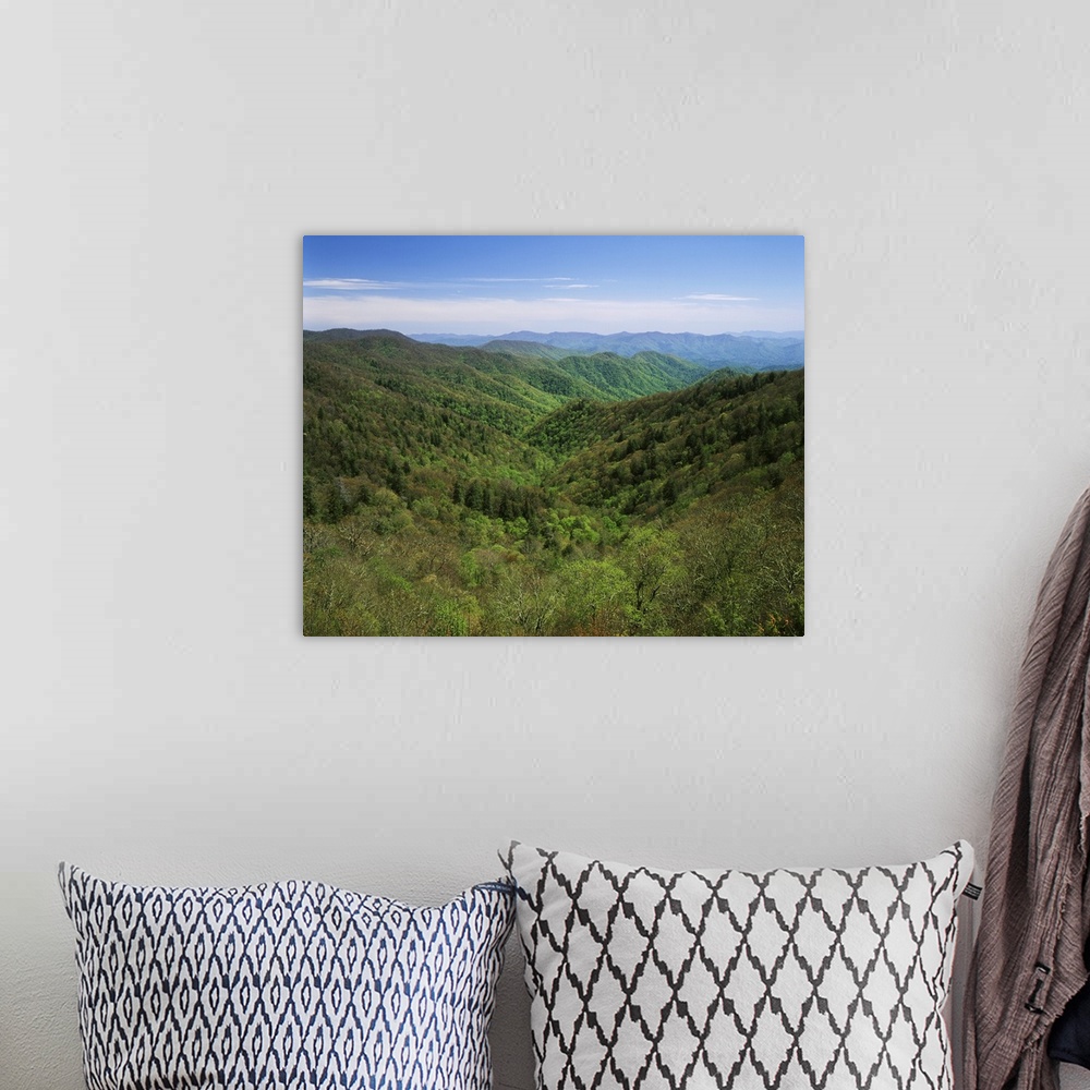A bohemian room featuring USA, North Carolina, Great Smoky Mountains National Park, Early spring view of Thomas Divide