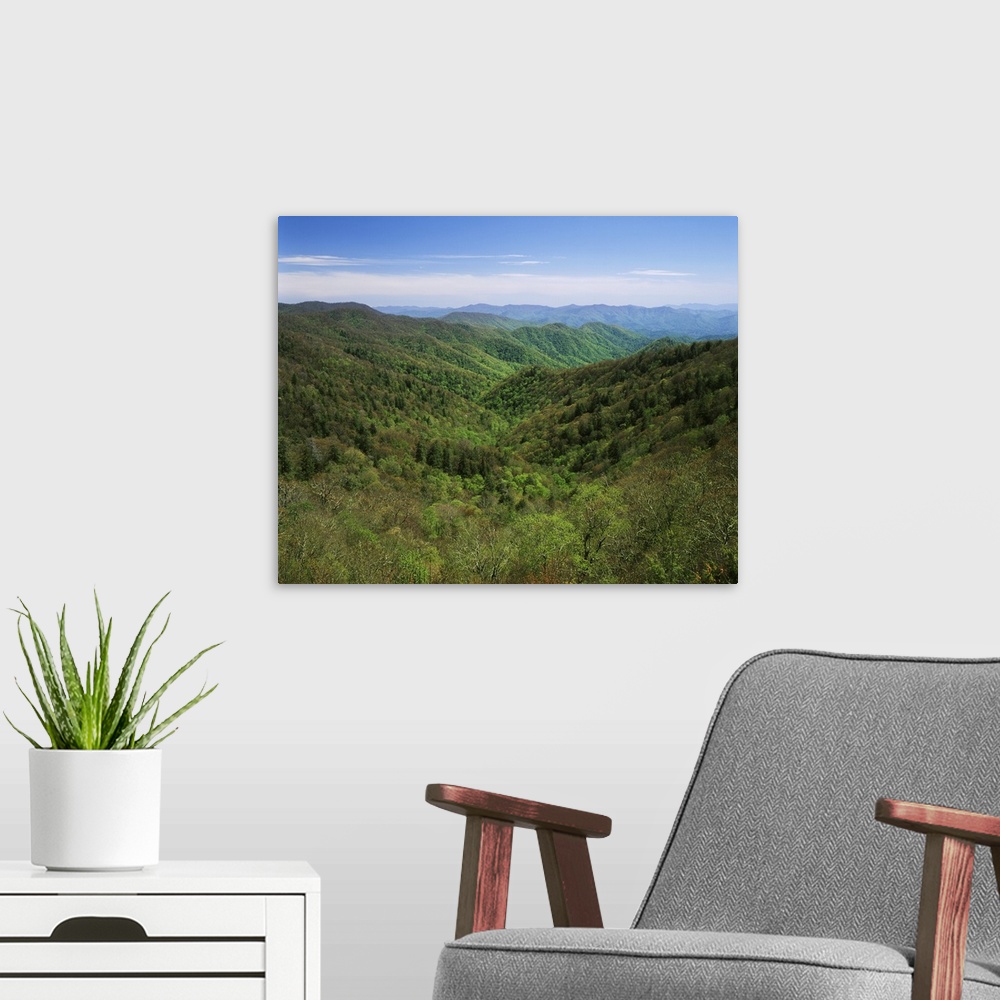A modern room featuring USA, North Carolina, Great Smoky Mountains National Park, Early spring view of Thomas Divide