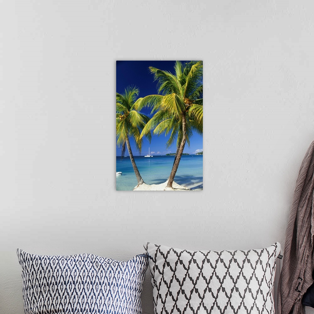 A bohemian room featuring Negril, Jamaica, West Indies. Three palm trees at the edge of the blue sea with catamaran pleasur...