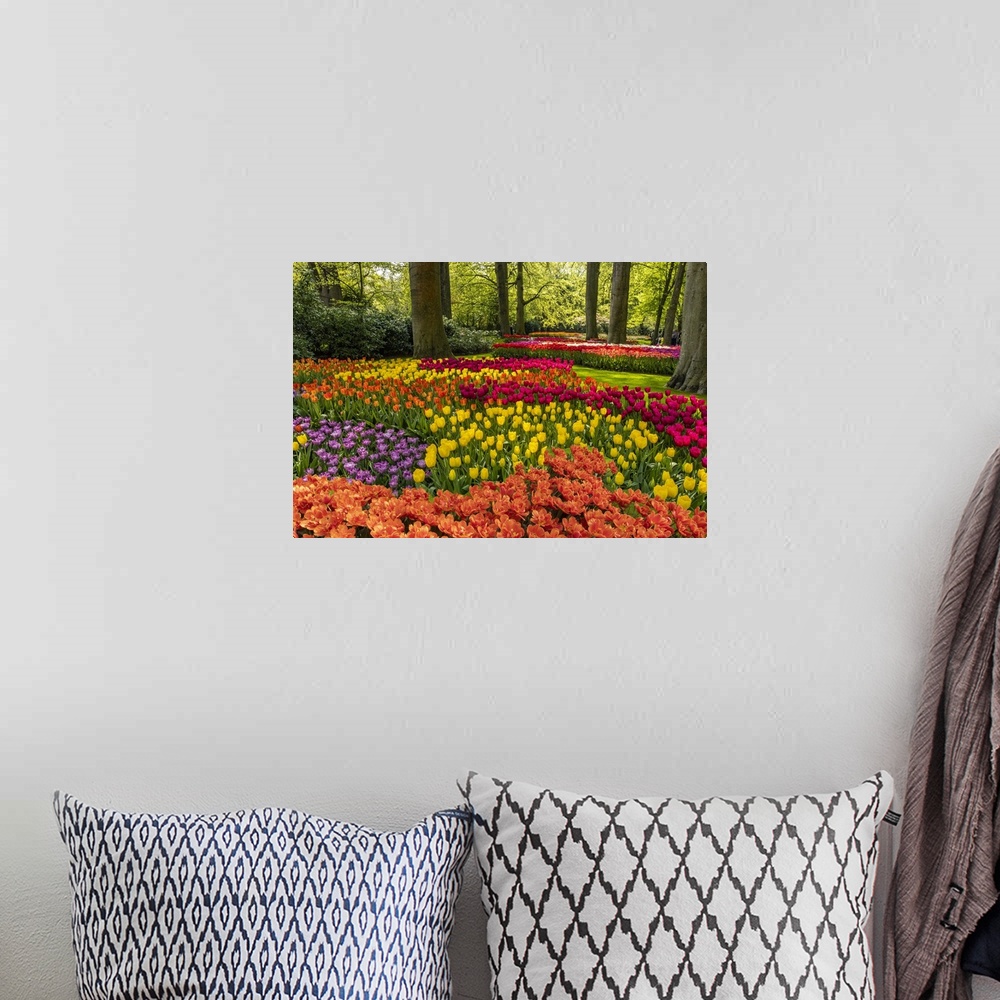 A bohemian room featuring Netherlands, Lisse. Tulips in Keukenhof Gardens.