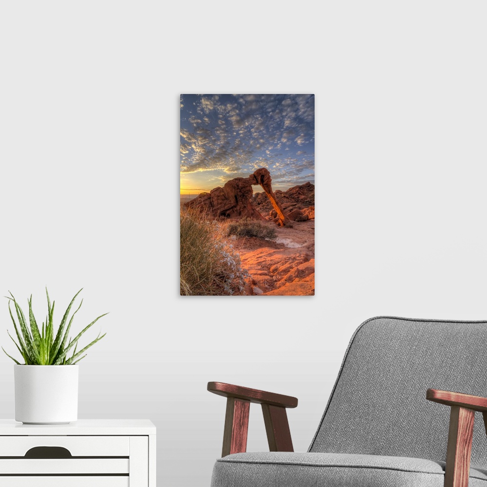 A modern room featuring USA, Nevada, Clark County. Valley of Fire State Park. Elephant Rock.