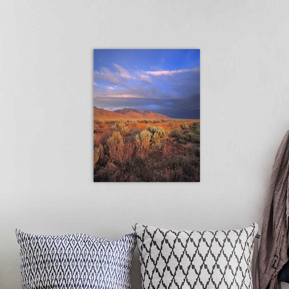 A bohemian room featuring USA, Nevada, Denio. Sunset light colors the sagebrush and the hillsides in the Nevada desert.