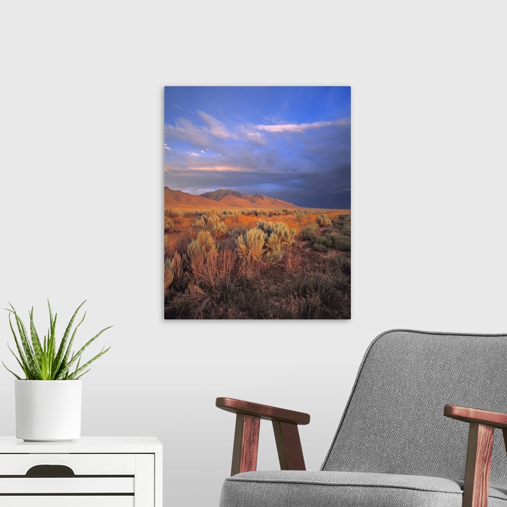 A modern room featuring USA, Nevada, Denio. Sunset light colors the sagebrush and the hillsides in the Nevada desert.