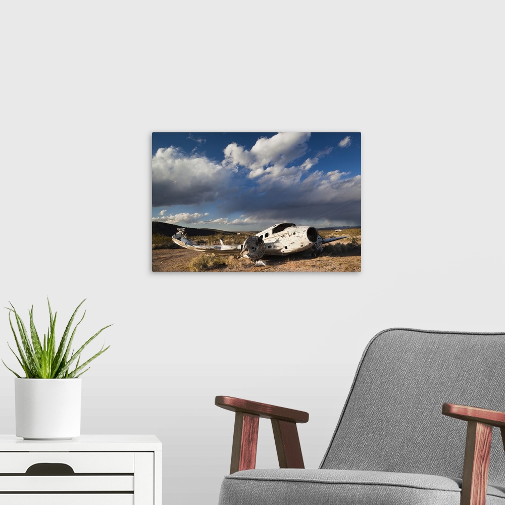 A modern room featuring USA, Nevada, Great Basin, Beatty, abandoned small airplane by Angels Ladies Brothel