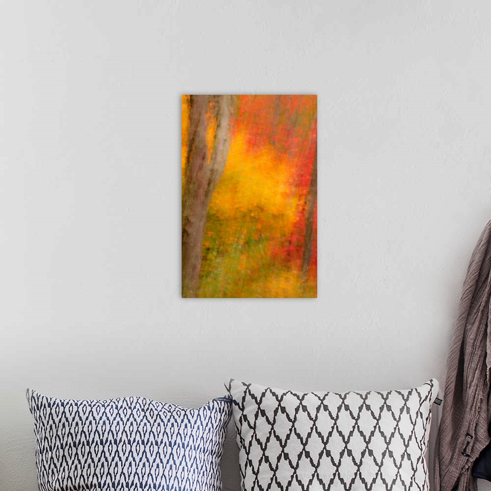 A bohemian room featuring USA, New York, Inlet. Abstract of autumn forest scene.