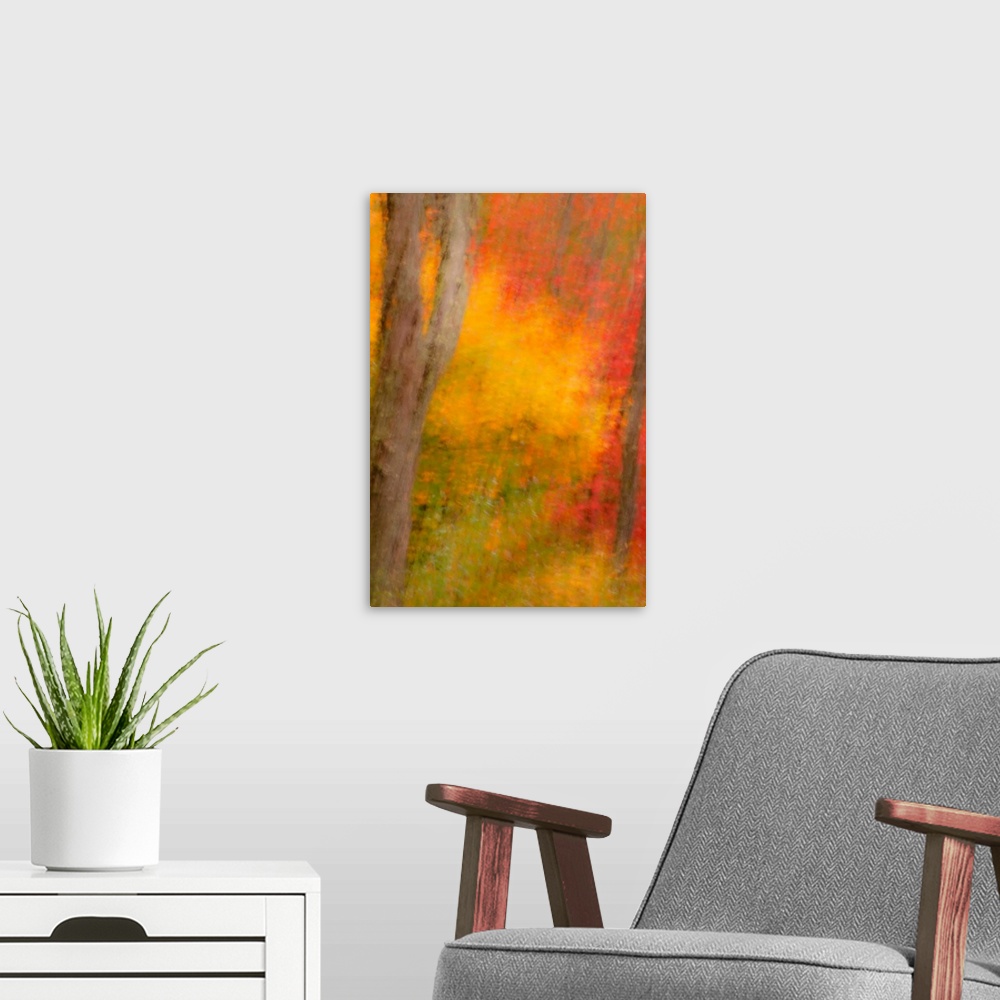 A modern room featuring USA, New York, Inlet. Abstract of autumn forest scene.