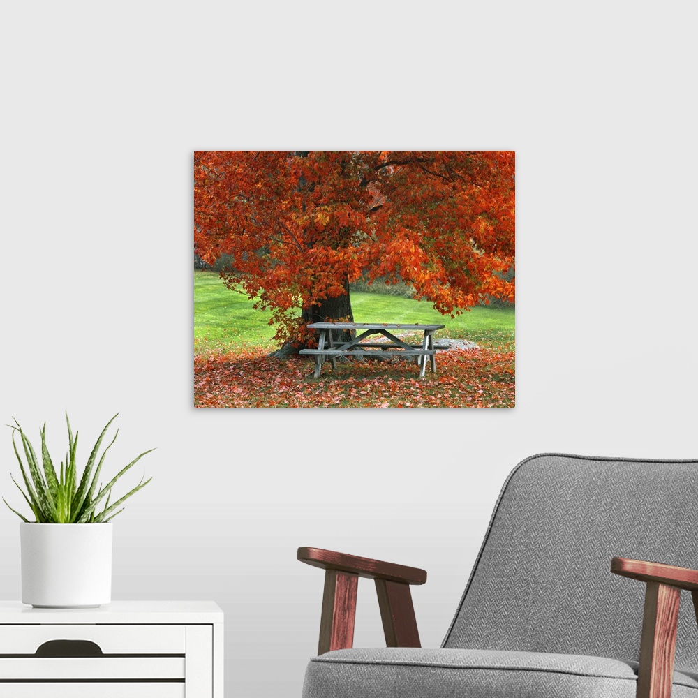 A modern room featuring Autumn scene in West Park New York