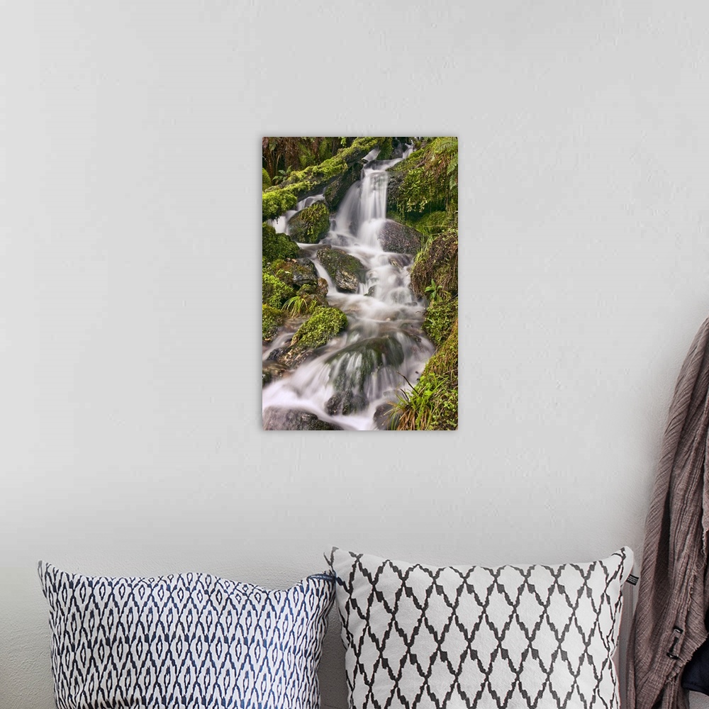 A bohemian room featuring New Zealand, Glenorchy Small Falls.