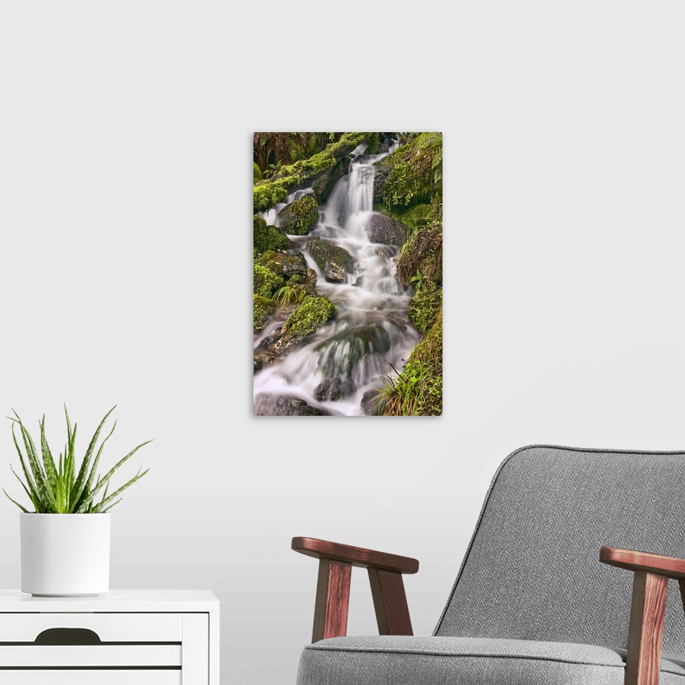 A modern room featuring New Zealand, Glenorchy Small Falls.