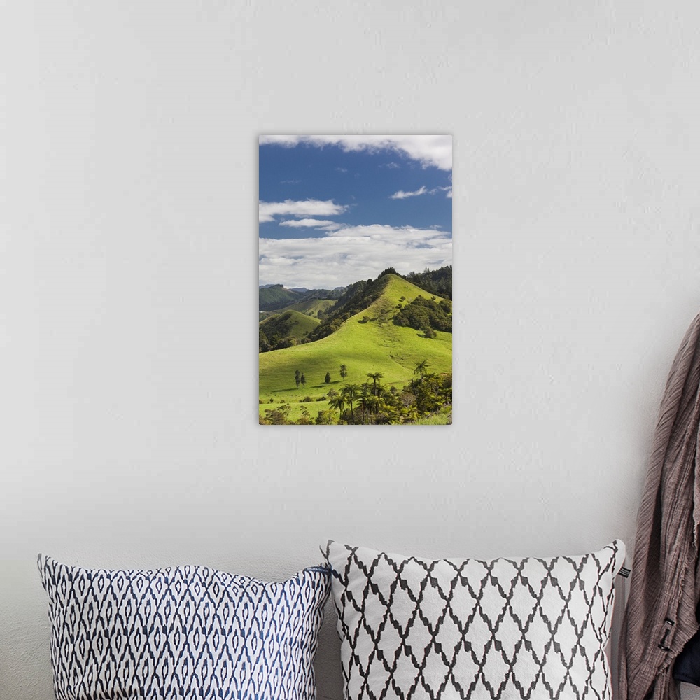 A bohemian room featuring New Zealand, North Island, Coromandel Peninsula, Wharekawa, landscape