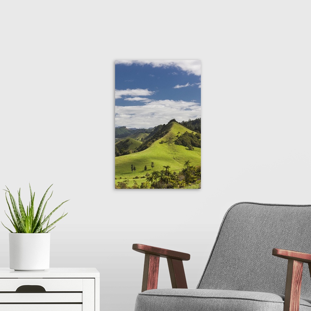 A modern room featuring New Zealand, North Island, Coromandel Peninsula, Wharekawa, landscape