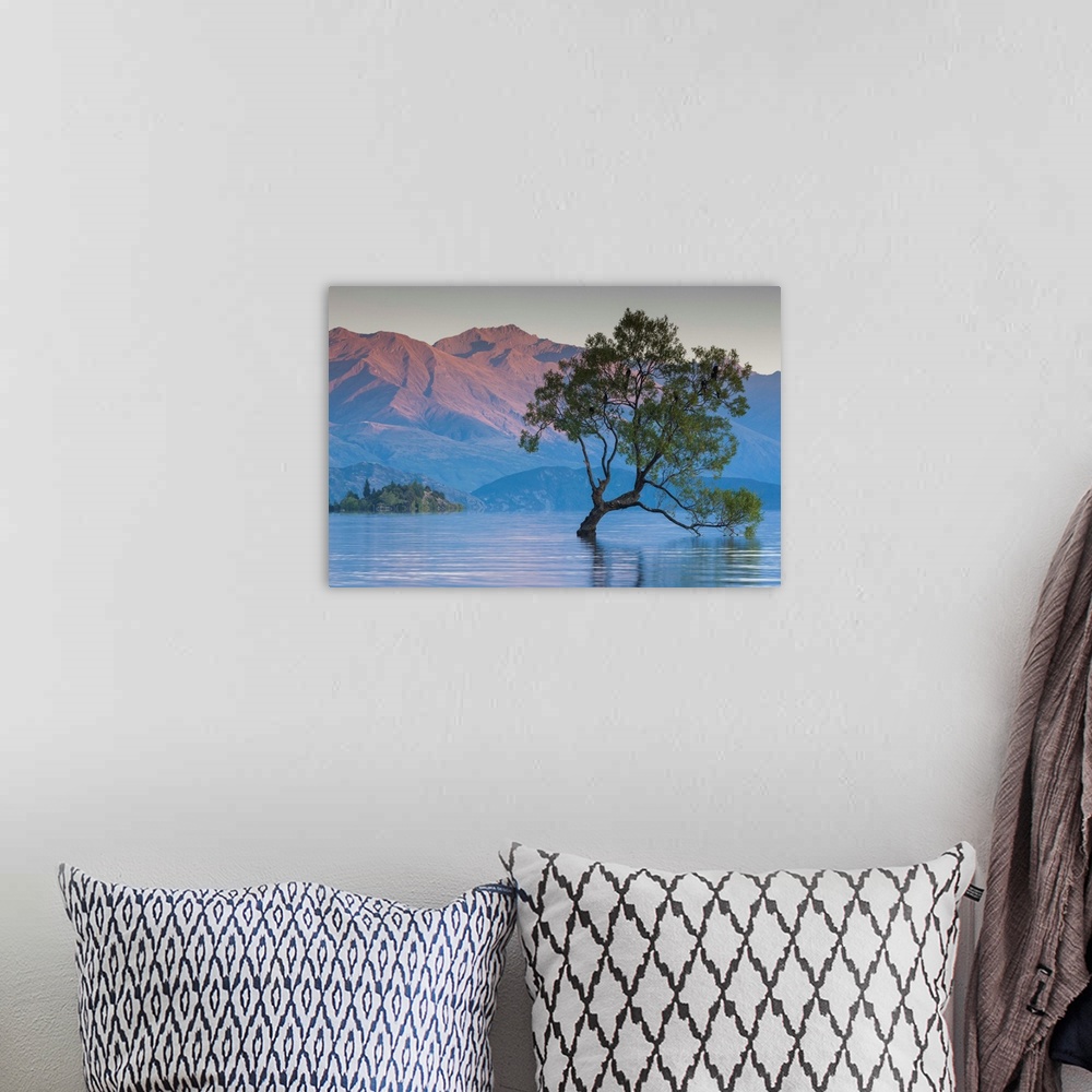 A bohemian room featuring New Zealand, South Island, Otago, Wanaka, Lake Wanaka, solitary tree, dawn